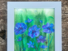 Kočička s lišejníkem