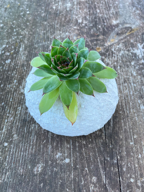 Valoun květinový elegantní květináč zahrada bílý valoun imitace kamene zenová 