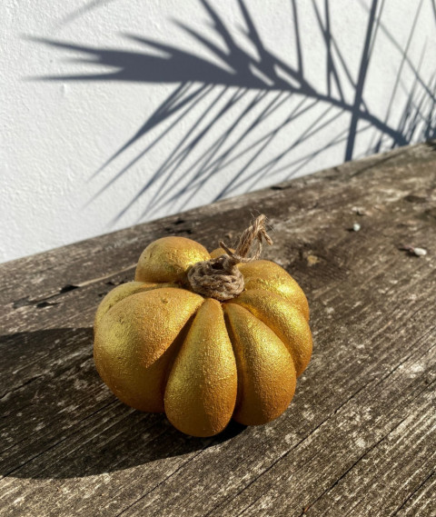 Zlatá dýně podzim dýně zlatá příroda přírodní ozdoba zahradní beton 