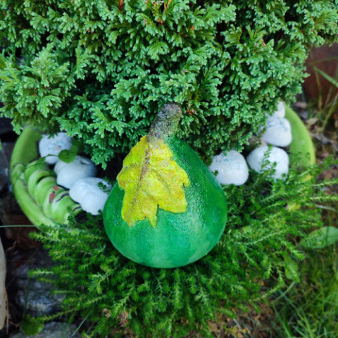 Dýně, hruška zelená podzim dýně list příroda přírodní ozdoba zahradní beton 