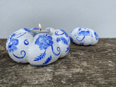 Kočička s lišejníkem