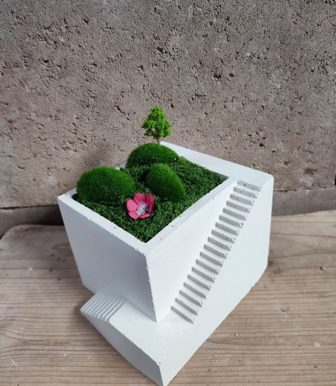 Betonová kostka- mini zahrádka dekorace bílé kvítek mech stromeček minimalismus klid harmonie umělé minizahrádka beton trvanlivé 