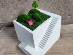 Kočička s lišejníkem