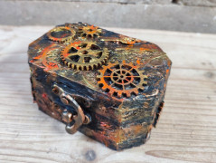 Kočička s lišejníkem