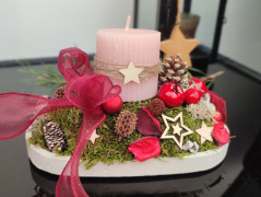 Kočička s lišejníkem