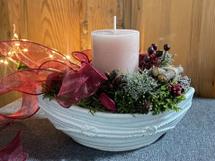 Kočička s lišejníkem