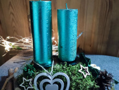 Kočička s lišejníkem