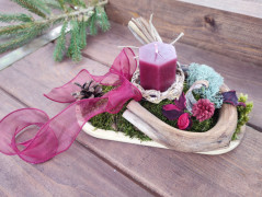 Kočička s lišejníkem