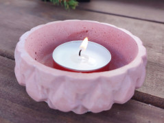 Kočička s lišejníkem