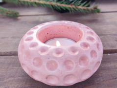 Kočička s lišejníkem