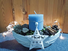 Kočička s lišejníkem