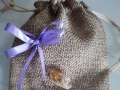 Kočička s lišejníkem