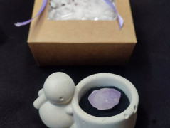 Kočička s lišejníkem