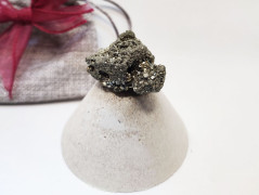 Kočička s lišejníkem