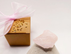 Kočička s lišejníkem