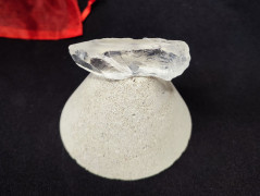 Kočička s lišejníkem