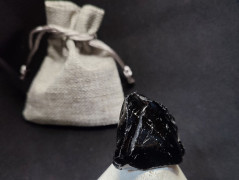 Kočička s lišejníkem