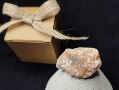 Kočička s lišejníkem