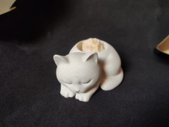 Kočička s lišejníkem