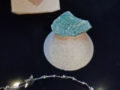 Kočička s lišejníkem