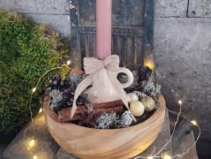 Kočička s lišejníkem