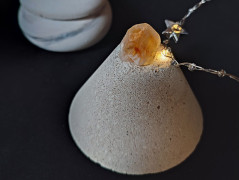 Kočička s lišejníkem