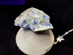 Kočička s lišejníkem