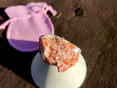 Kočička s lišejníkem