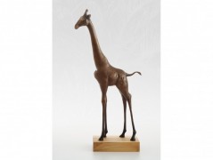 Chobotnice obrázek pro dítě obraz