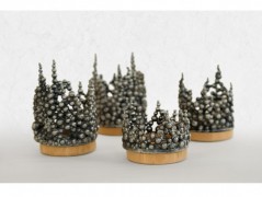 Chobotnice obrázek pro dítě obraz