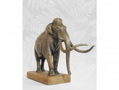 Chobotnice obrázek pro dítě obraz