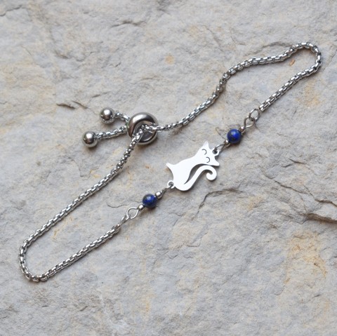 Kočička  a lapis lazuli lapis lazuli chirurgická a 