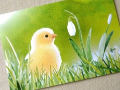 Darovací obálka - ČERVENÉ VÁNOCE