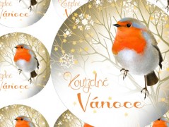 Darovací obálka - ČERVENÉ VÁNOCE