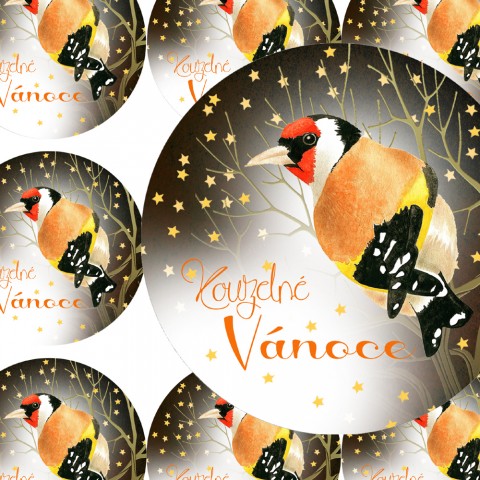 STEHLÍK - samolepky zábava sníh zima vánoce ptáček přání příroda vánoční hvězda diář deník hvězdička advent stehlík obálka nálepka pohlednice samolepky samolepka 