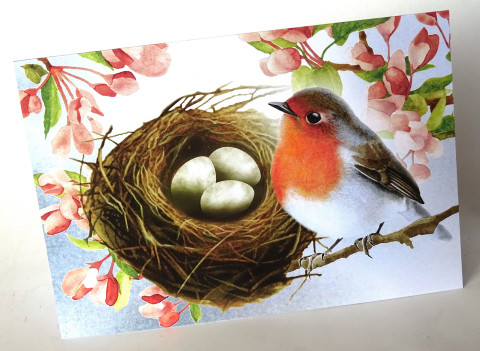 Přání - HNÍZDEČKO červená zelená modrá bílá svátek přání velikonoce rostlina sněženka velikonoční kraslice vajíčko 