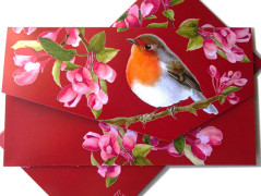 Darovací obálka - ČERVENÉ VÁNOCE