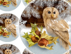 Darovací obálka - ČERVENÉ VÁNOCE