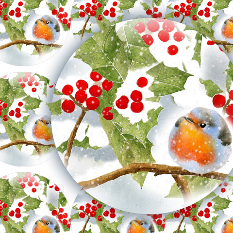 CESMÍNA - samolepky zábava sníh zima vánoce ptáček přání příroda vánoční diář deník advent obálka červenka cesmína nálepka pohlednice samolepky samolepka 