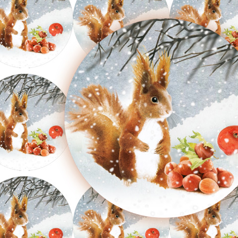 OŘÍŠKY PRO VEVERKU - samolepky jablko zábava sníh strom zima vánoce ptáček přání příroda vánoční diář veverka deník advent obálka červenka nálepka pohlednice samolepky samolepka oříšek 