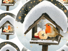 Darovací obálka - ČERVENÉ VÁNOCE