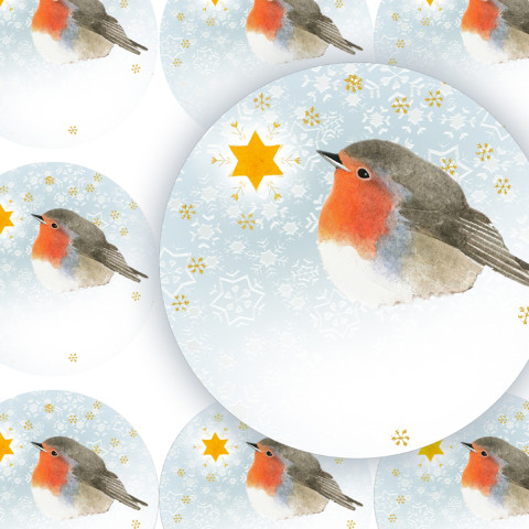 HVĚZDIČKA-DOPLŇ JMÉNO - jmenovky zábava sníh zima vánoce ptáček jmenovka přání jméno příroda vánoční hvězda diář deník hvězdička advent obálka červenka nálepka pohlednice samolepky samolepka 