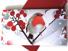 Darovací obálka - ČERVENÉ VÁNOCE