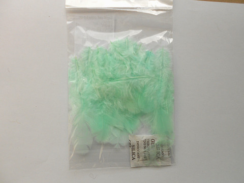 Slepičí peří - 20ks zelená náušnice ozdoba mint peří tvoření 