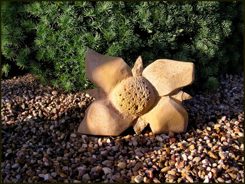 SOCHA Z PÍSKOVCE - *KVĚT* plastika socha skulptura zahradní socha socha z pískovce exteriérová socha socha do zahrady. sochy z pískovce 