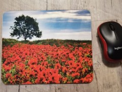 Hrnek se jménem, Simona