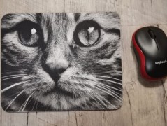 Hrnek se jménem, Simona