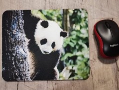 Hrnek se jménem, Simona