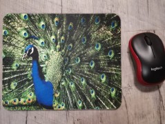 Hrnek se jménem, Simona