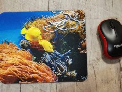 Hrnek se jménem, Simona